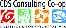 CDS-Consulting-web 95ed9